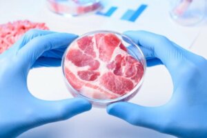 Advantages and Disadvantages of Synthetic Meat