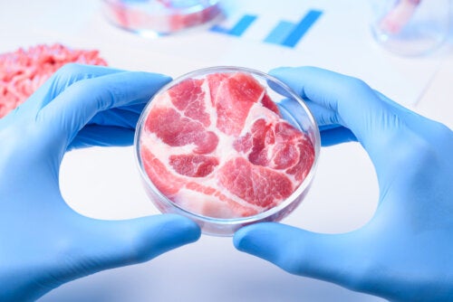 Advantages and Disadvantages of Synthetic Meat