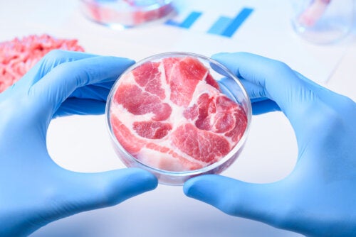 Advantages and Disadvantages of Synthetic Meat
