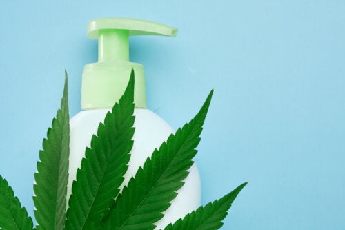 What Is CBD Shampoo and What Are Its Benefits?