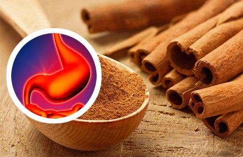 The Health Benefits of Cinnamon Tea