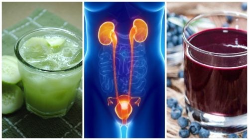 6 Bebidas Naturales para Tratar las Infecciones del Tracto Urinario