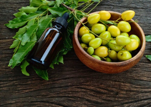 How to Use Neem Oil to Look After Your Garden Plants