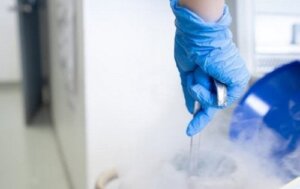 Egg Donation, an Act of Solidarity