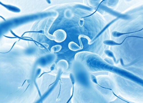 18 Interesting Facts You Probably Didn't Know about Semen and Sperm