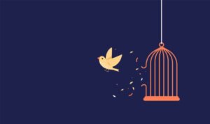 Why Freedom and Licentiousness Are Two Very Different Things