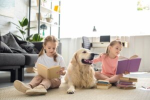 How Reading Changes the Brain and Benefits Mental Health