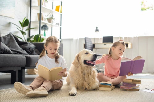 How Reading Changes the Brain and Benefits Mental Health