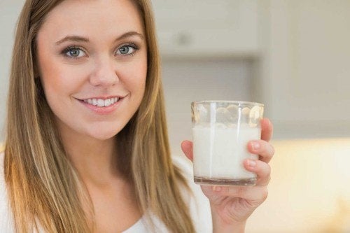 Four Recipes for the Main Types of Vegetable Milk