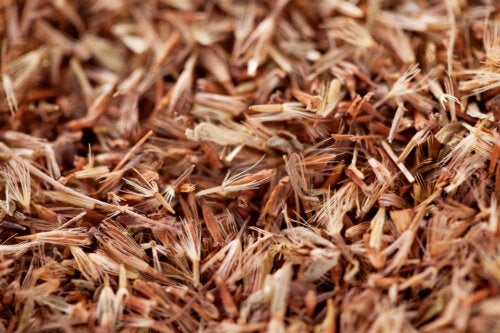 Palmarosa Essential Oil: Uses, Benefits, and Tips