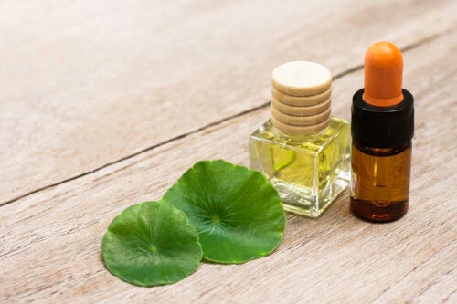 Versatile Applications of One Thing Centella Asiatica Extract in Beauty and Wellness Versatile Applications of One Thing Centella Asiatica Extract in Beauty and Wellness