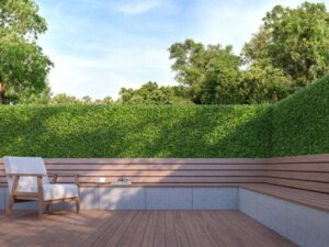 The Best Trees and Shrubs for Privacy in the Garden