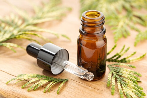 What Are Essential Oils and How and Why Do They Work?