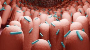 Postbiotics: What They Are and How to Get Them