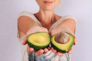 7 Avocado Varieties and Their Characteristics