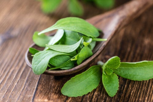 Homemade Liquid Stevia: Nutrients and How to Prepare It