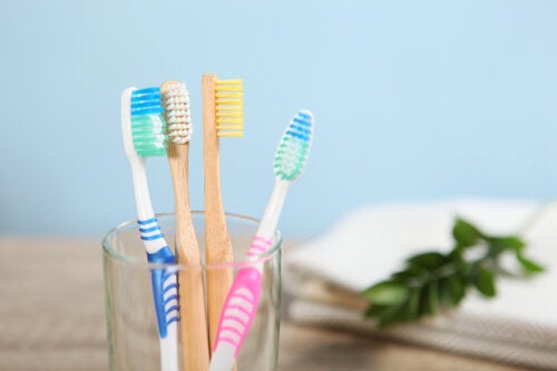 Plastic versus. Bamboo Toothbrushes: Advantages and Disadvantages