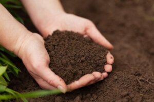How to Make Organic Bocashi Fertilizer