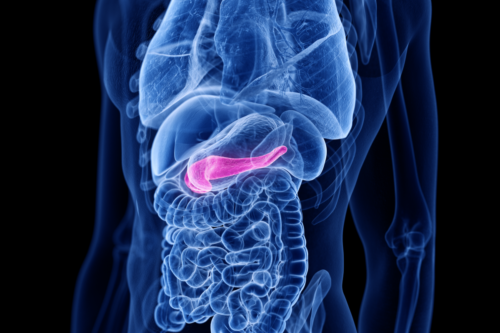 Cholecystokinin Hormone: What Is It and What's It For?