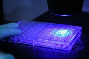 New Cancer Treatment? Photoimmunotherapy Successfully Eliminates Malignant Cells