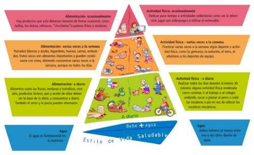 NAOS Pyramid: Strategies to Prevent Juvenile Obesity