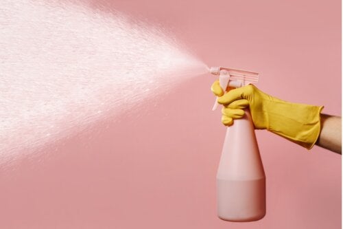 How to Reuse a Spray Bottle: 6 Interesting Things You Can Do