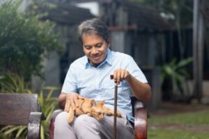 Cat Therapy: 6 Mental Health Benefits of Cats