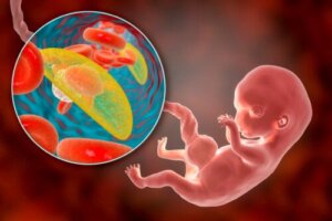 Posterior or Anterior Placenta: What Does it Mean in Pregnancy?