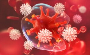 What Are the Normal Values of Leukocytes?