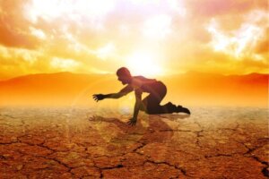 What Are Food Deserts and What Is Their Impact on Health?