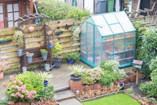 Urns and Mini Greenhouses: How to Set One Up at Home