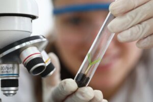 Empiricism: What It Is, Characteristics, and Examples