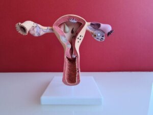 Cervical Mucus: 9 Facts Every Woman Should Know