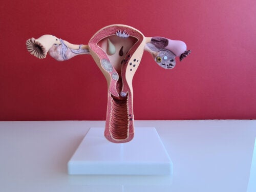 Cervical Mucus: 9 Facts Every Woman Should Know