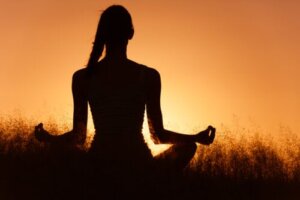 Get to Know the 7 principles of Zen Philosophy