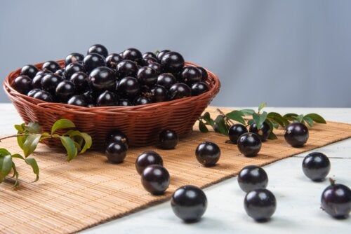 Jabuticaba Fruit: Benefits and How to Consume It