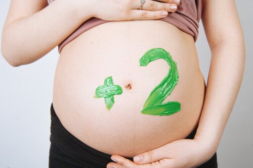 Nutrition During a Multiple Pregnancy: The Main Considerations