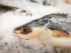 Catfish: Nutrition, Benefits and Possible Risks