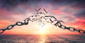 The Law of Detachment: How to Apply it to Improve Your Life