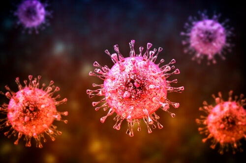 Everything You Need to Know About Cytomegalovirus Infection
