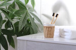 8 Ideas for a Sustainable Bathroom