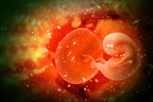 What Is Embryo Adoption and What Are its Advantages?