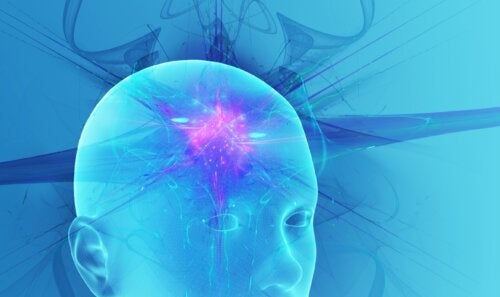 What Are The Different States of Human Consciousness?