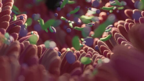Butyric Acid: Benefits and Effects