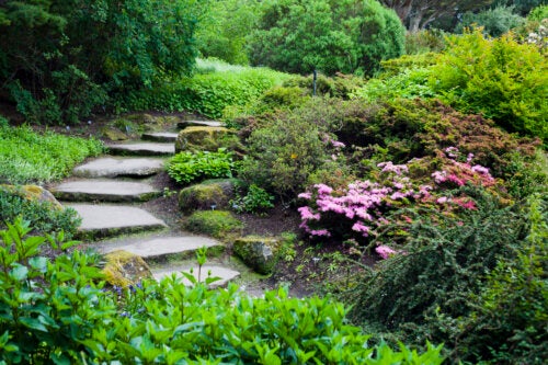 Tips and Steps to Have an Alpine Garden in Your Home