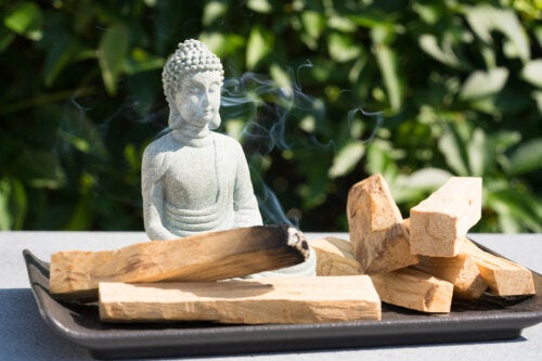 Palo Santo: The Benefits and Uses of "Holy Wood"