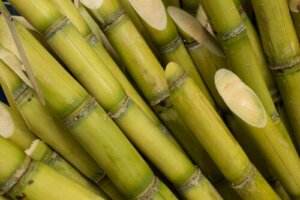 What Is Cane Vinegar and What are Its Uses?