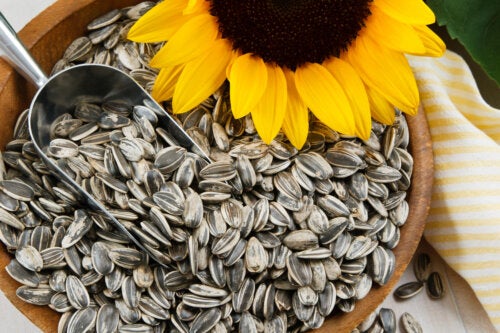 Sunflower Seed Milk: Benefits and Preparation