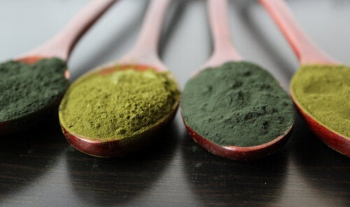 Algae Protein Powder: All You Need to Know About this Supplement