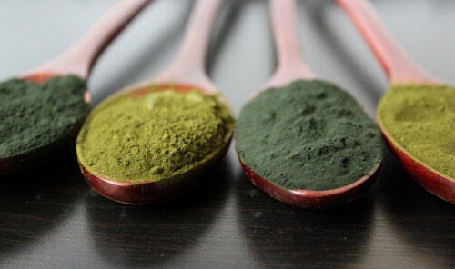 Algae protein powder: what you need to know about this supplement